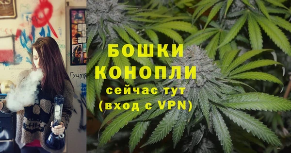 прущие крисы Гусь-Хрустальный