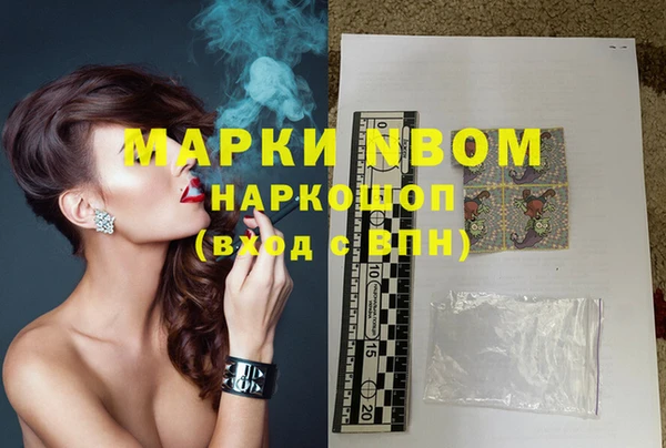 прущие грибы Гусев