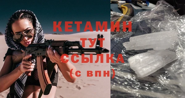 прущие грибы Гусев