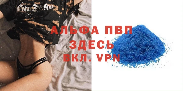 прущие грибы Гусев