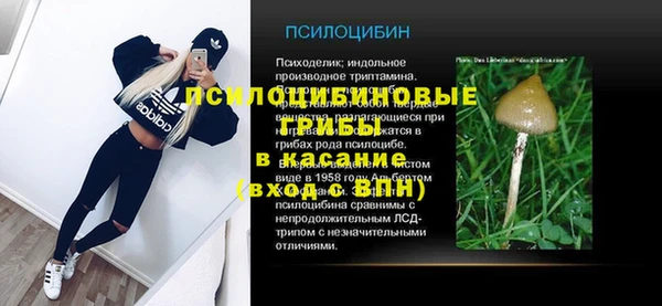прущие грибы Гусев