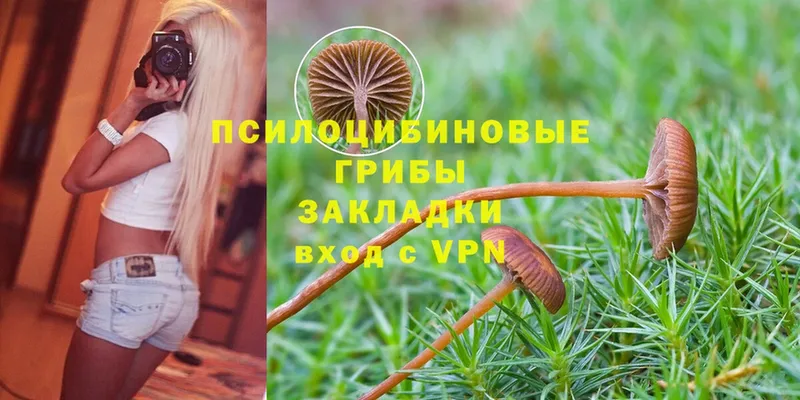 ссылка на мегу   Жигулёвск  Галлюциногенные грибы MAGIC MUSHROOMS 