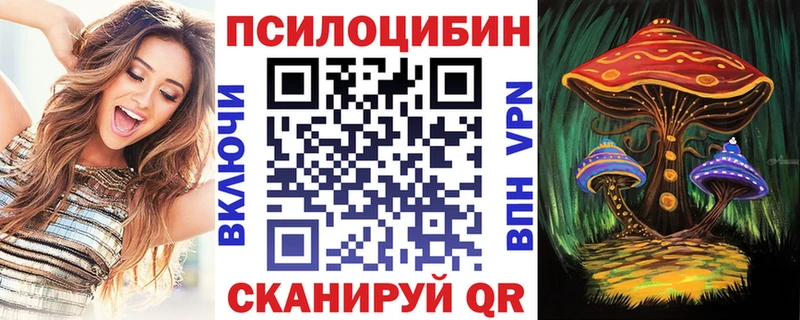 Галлюциногенные грибы Psilocybine cubensis  Жигулёвск 